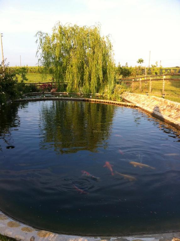 Azienda Agrituristica Bellavista Villa Montespertoli Buitenkant foto