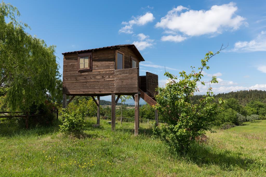 Azienda Agrituristica Bellavista Villa Montespertoli Buitenkant foto